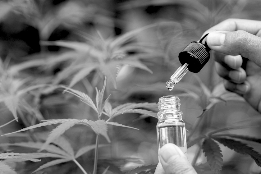 industrial-hemp-farm-bill-cannabis-legalize-marijuana